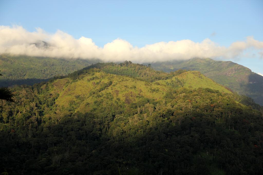 Ecotones Munnar By Eden Environs Hotel Exterior foto