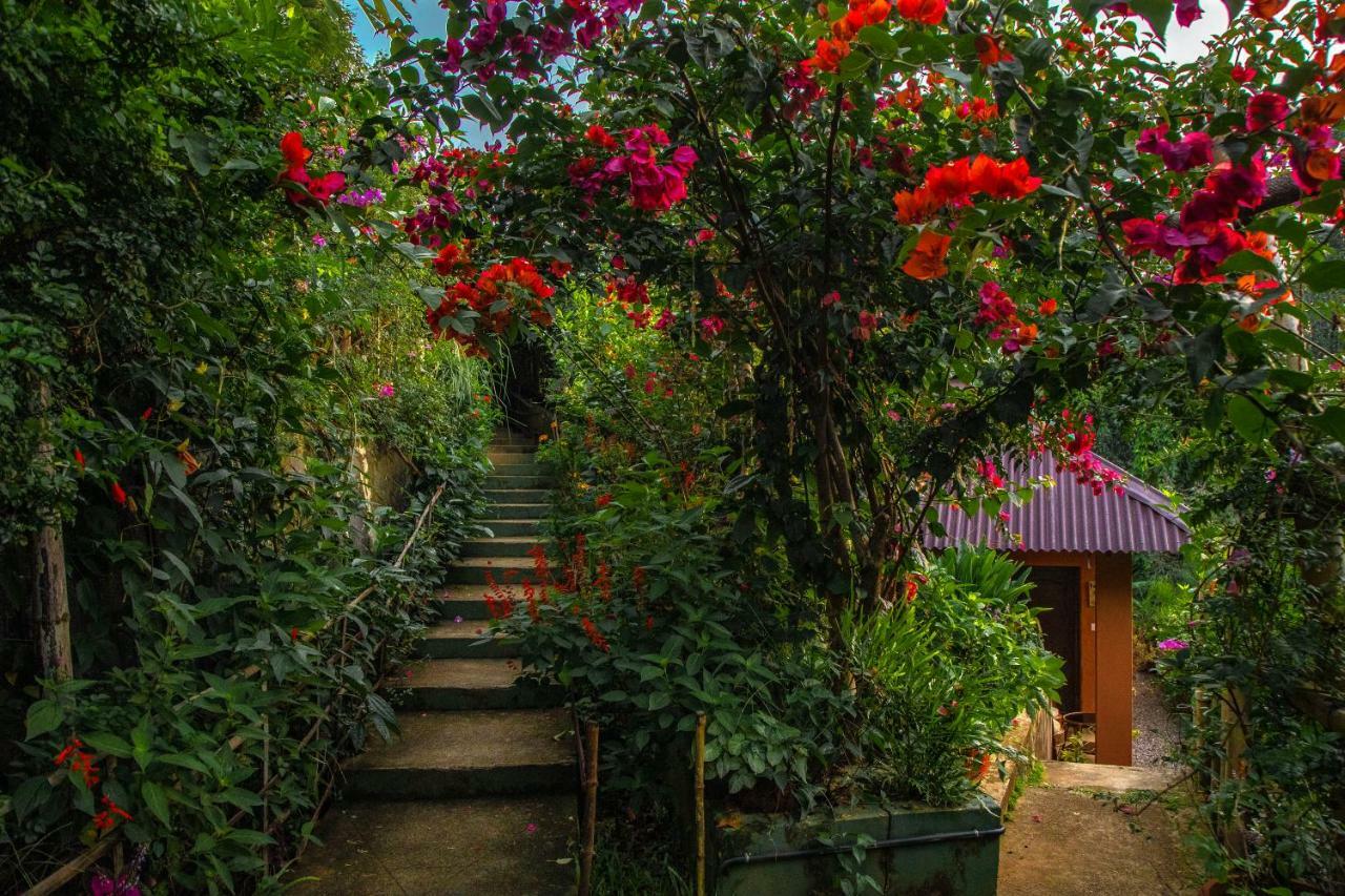 Ecotones Munnar By Eden Environs Hotel Exterior foto
