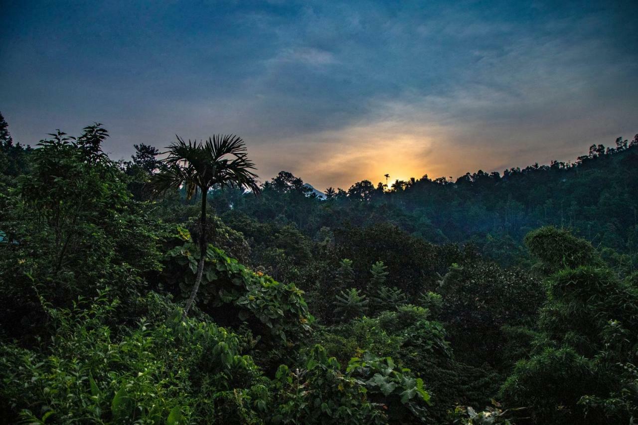 Ecotones Munnar By Eden Environs Hotel Exterior foto